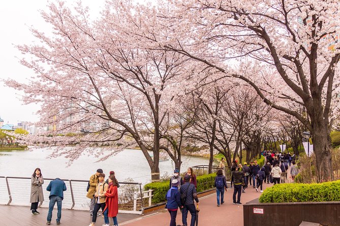 Seoul Highlights & Hidden Gems - Private Tour with Photo Service - How the day runs, pickup, pacing, and total time