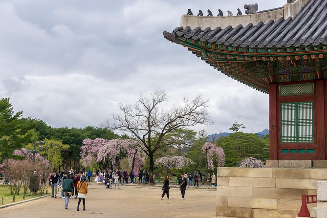 Seoul Highlights & Hidden Gems - Private Tour with Photo Service - FAQ