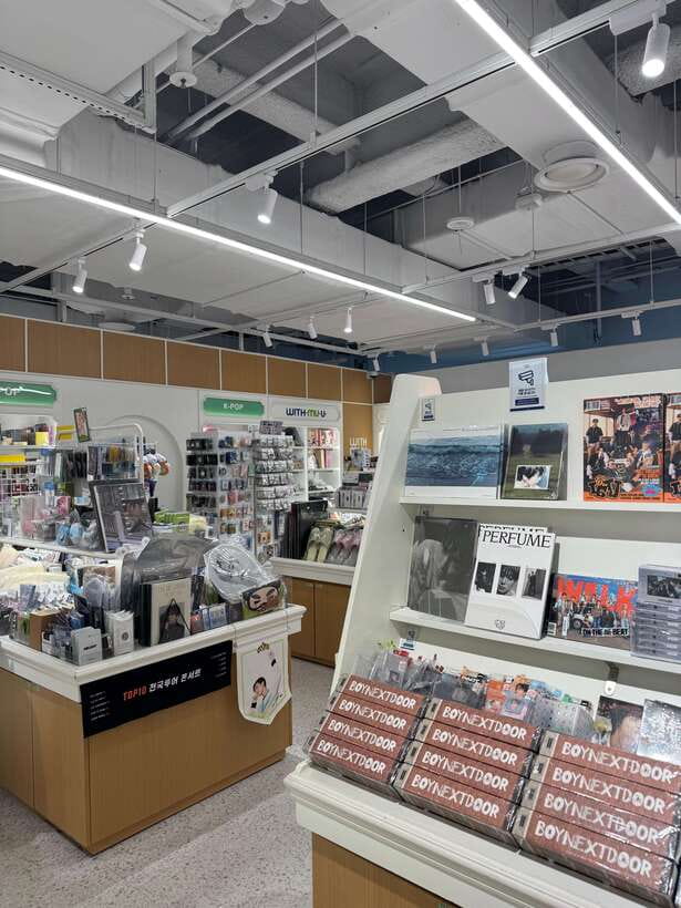 Seoul: Hongdae, KPOP, Webtoon&Game, Theme Cafe Walking Tour - How the guide makes this more than a theme walk