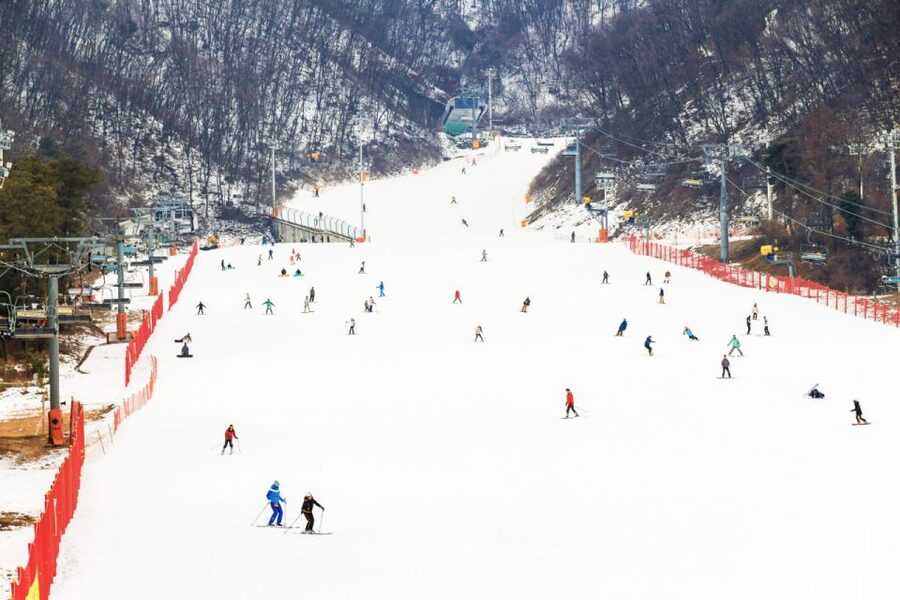 Seoul: Jisan Forest Winter Ski Day Tour with Basic Lesson - Key things I’d plan around
