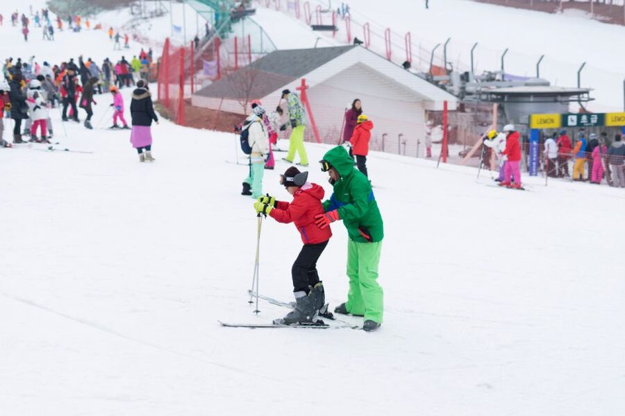 Seoul: Jisan Forest Winter Ski Day Tour with Basic Lesson - Guides and teaching style that help you get unstuck fast