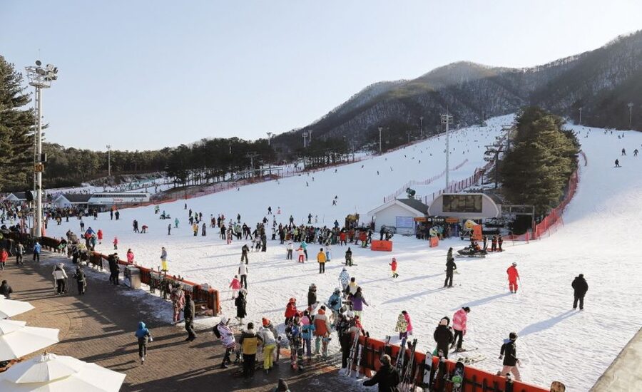 Seoul: Jisan Forest Winter Ski Day Tour with Basic Lesson - Equipment and small costs that can surprise you