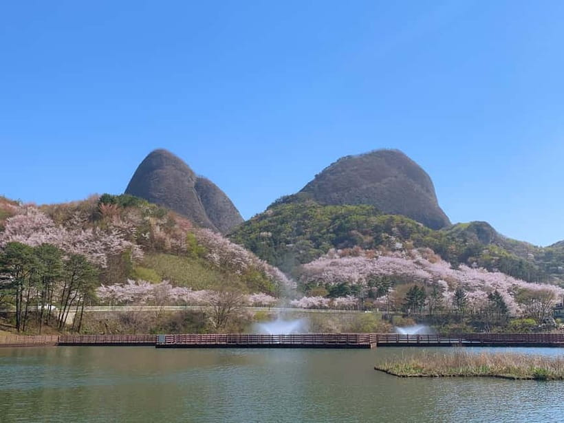 Seoul: Maisan Cherry Blossom and Jeonju Hanok Day Tour - Jinan Cherry Blossom Festival on a 3-kilometer tunnel route