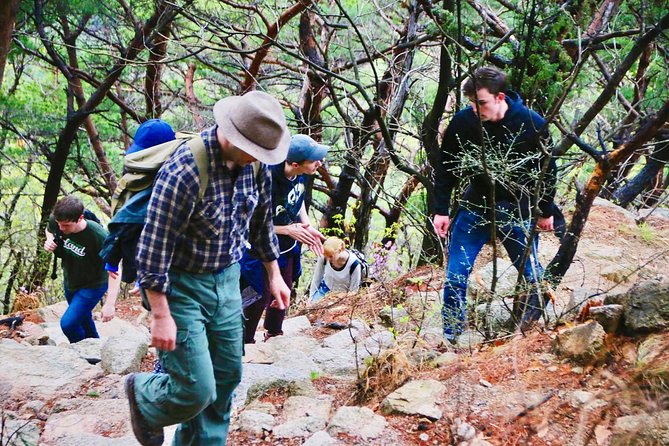 Seoul Mountain Hike: Temples, Folklore & Traditional Meal - The Temple Stop: Why It Matters Beyond the Photo