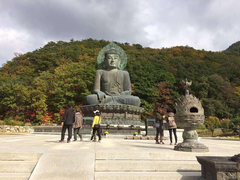Seoul: Mt.Seorak(+CableCar Option)+Sokcho Fish Market&Beach - Key highlights to look forward to