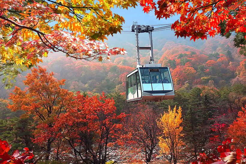 Seoul: Mt.Seorak(+CableCar Option)+Sokcho Fish Market&Beach - Practical tips so your day goes smoothly