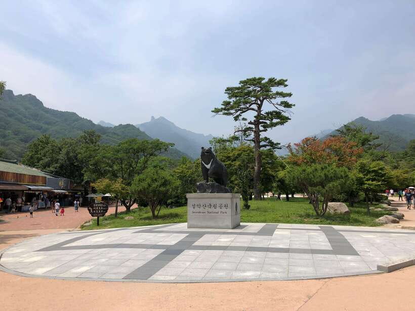 Seoul: Mt.Seorak(+CableCar Option)+Sokcho Fish Market&Beach - Price and value: what $68 gets you on this long route