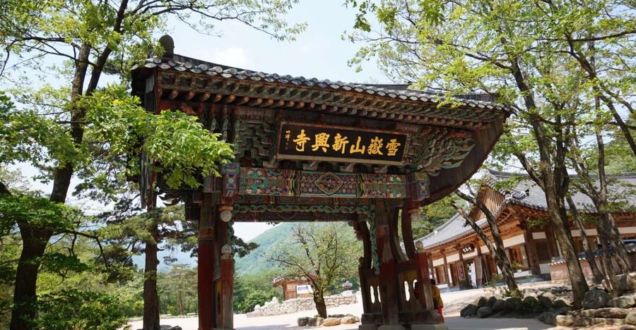Seoul: Mt Seorak + Naksansa Temple or Nami Island Group Tour - Who this Mt Seorak + Naksansa or Nami Island tour is best for