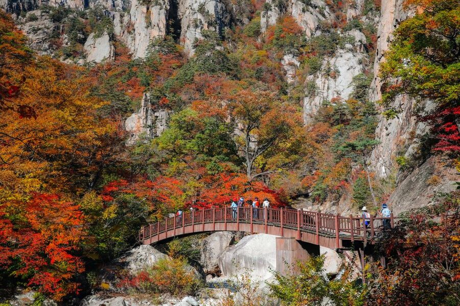 Seoul: Mt Seorak + Naksansa Temple or Nami Island Group Tour - Cable car at Seoraksan, how to decide without stress