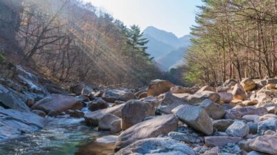 Mt Seorak + Naksansa Temple or Nami Island Group Tour