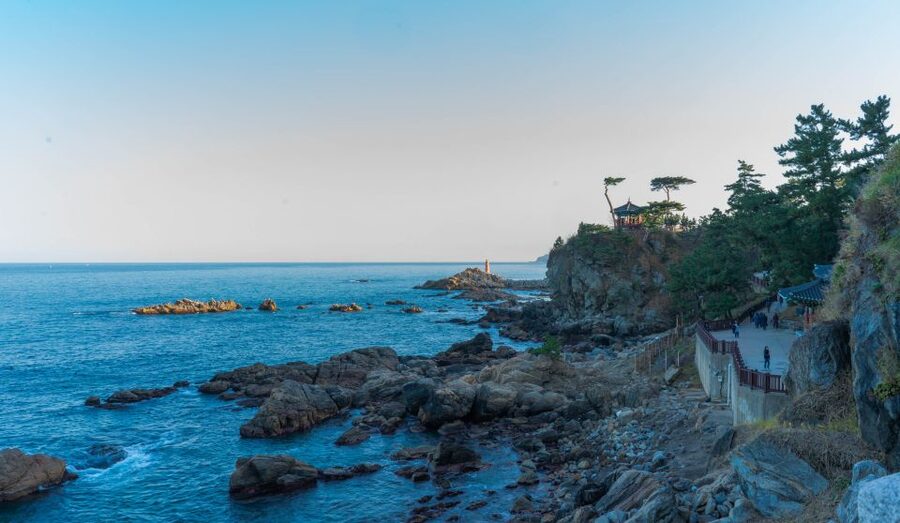 Seoul: Mt Seorak + Naksansa Temple or Nami Island Group Tour - Naksansa Temple option, black bamboo and ocean-side drama