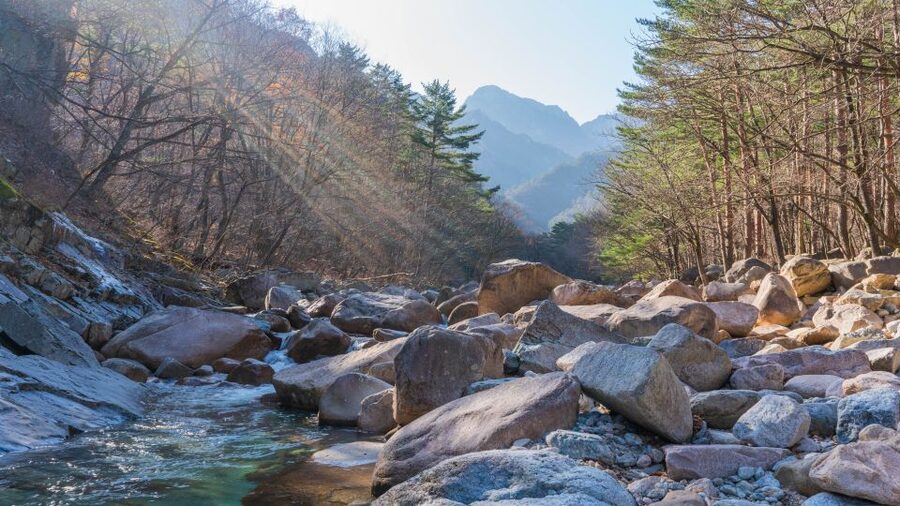 Seoul: Mt Seorak + Naksansa Temple or Nami Island Group Tour - Your Seoraksan hike time: views, route choices, and sweat control