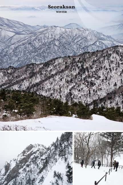 Seoul: Mt. Seorak & Nami Island & Eobi Ice Valley Day Tour - Price and What $93 Really Covers