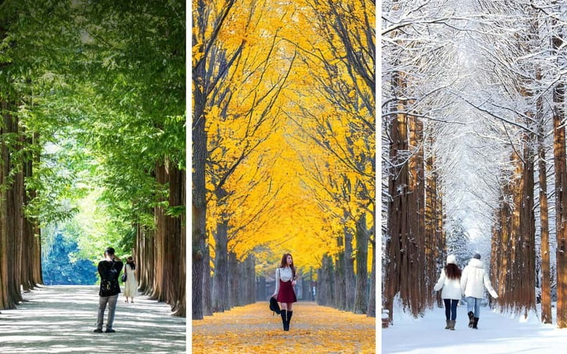 Seoul: Mt. Seorak & Nami Island & Eobi Ice Valley Day Tour - Timing, Self-Guided Stops, and Where You Can Flex