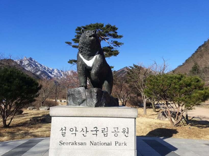 Seoul: Mt.Seorak, Nami Island & Korean Garden, No Shopping - Key Things I’d Book This For