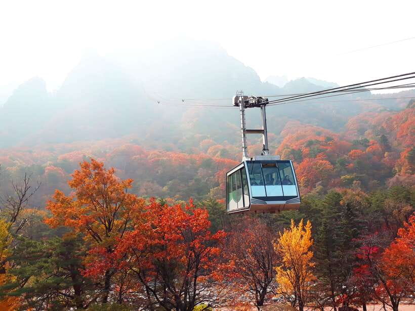 Seoul: Mt.Seorak, Nami Island & Korean Garden, No Shopping - Why Seorak, Nami, and Morning Calm Make Sense Together