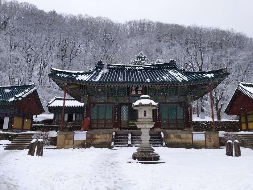 Seoul: Mt.Seorak, Nami Island & Korean Garden, No Shopping - The Van Part: Where the Time Actually Goes