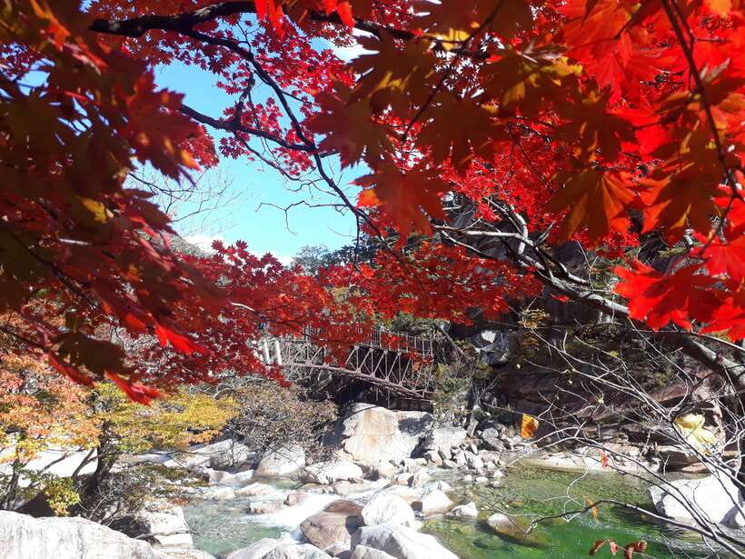 Seoul: Mt.Seorak, Nami Island & Korean Garden, No Shopping - Seoraksan National Park: Trails, Rock Formations, and Shinheungsa Temple
