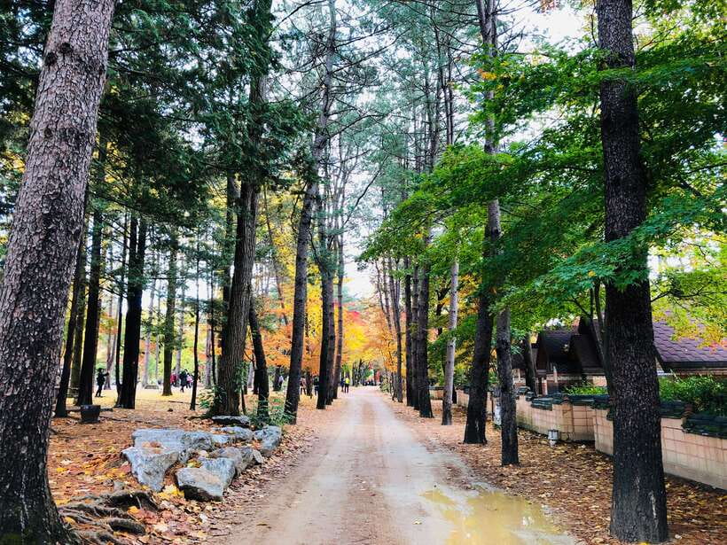 Seoul: Mt.Seorak, Nami Island & Korean Garden, No Shopping - Group Size, Guides, and the Smoothness Factor