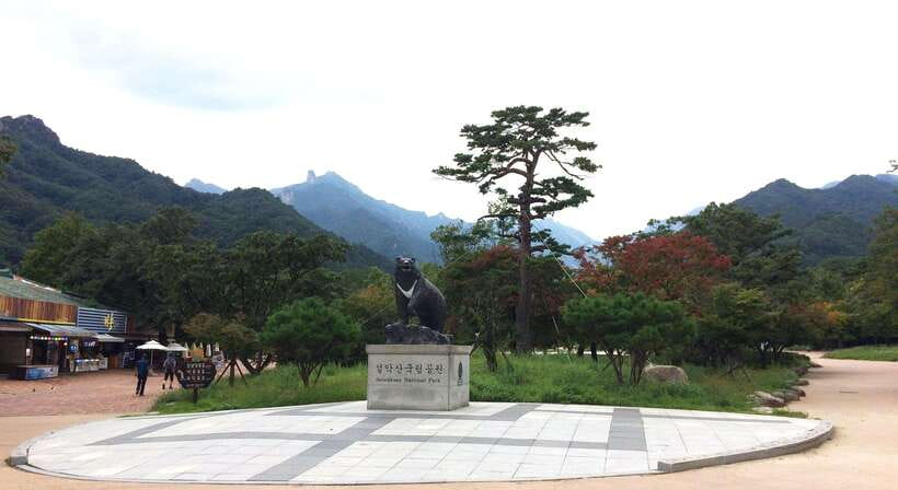 Seoul: Mt.Seorak, Nami Island, No Shopping(+RailBike Option) - Key things to know before you go