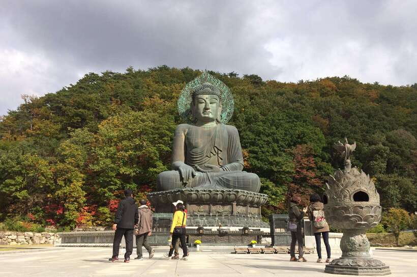 Seoul: Mt.Seorak, Nami Island, No Shopping(+RailBike Option) - A one-day escape that actually fits into real life