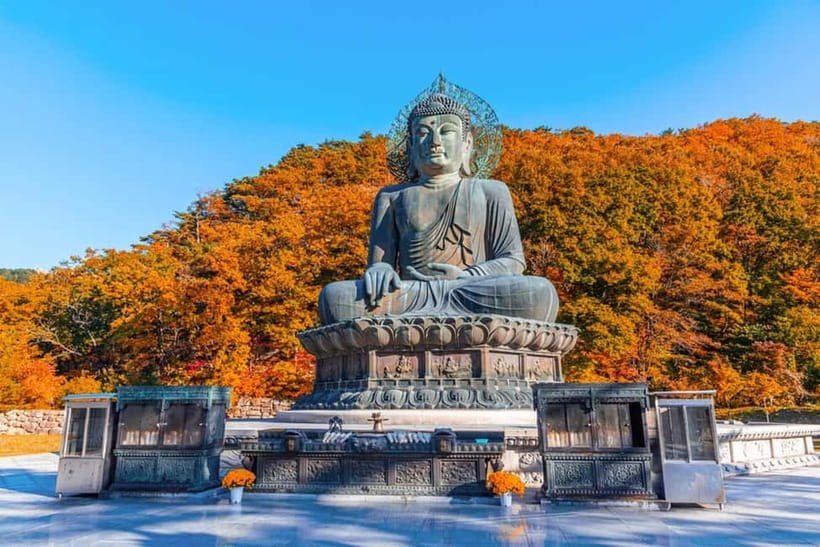 Seoul: Mt. Seoraksan National Park Autumn Foliage Day Tour - Key highlights you’ll care about