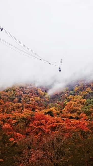 Seoul: Mt. Seoraksan National Park Autumn Foliage Day Tour - Group day tips: how to avoid the common “wait around” problem