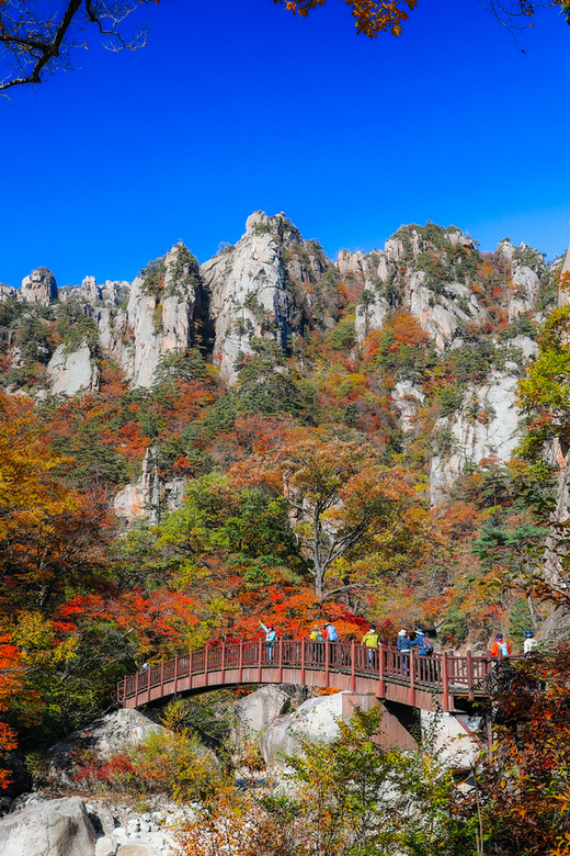 Seoul: Mt. Seoraksan National Park Autumn Foliage Day Tour - Why Mt. Seoraksan in fall feels like a reset