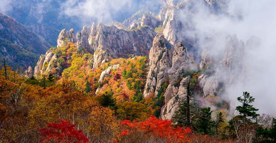 Seoul: Mt. Seoraksan National Park Autumn Foliage Day Tour - Your park time: trails, Ullsabawawi steps, and choosing your level