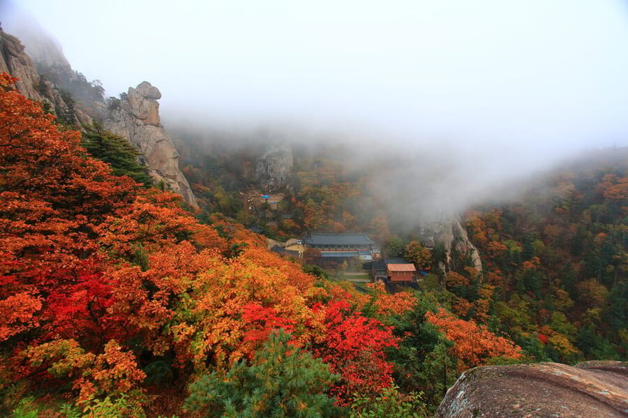 Seoul: Mt. Seoraksan National Park Autumn Foliage Day Tour - Temples in the trees: the calmer moments that make the hike feel real