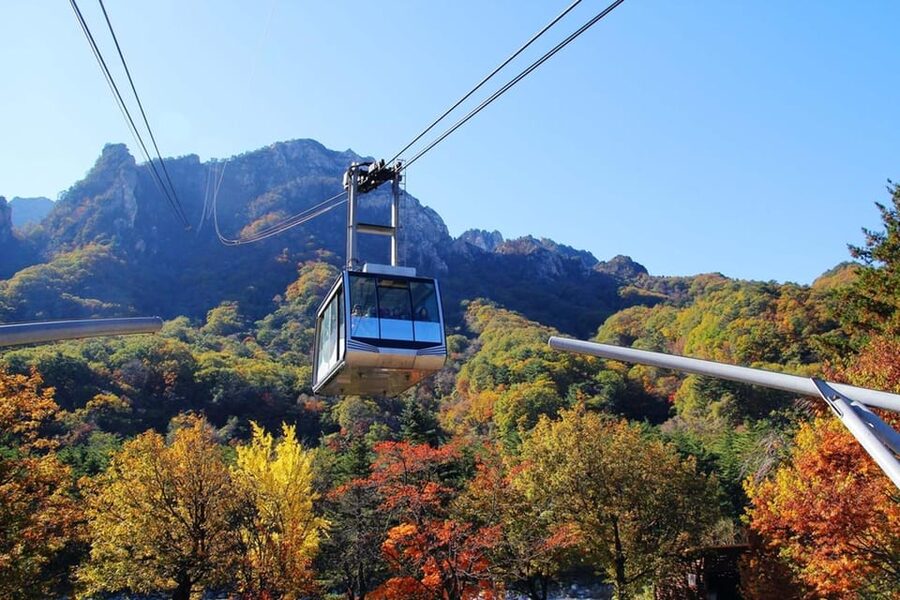 Seoul: Mt. Seoraksan National Park Autumn Foliage Day Tour - Price and value: is $60 a good deal for Seoraksan fall?
