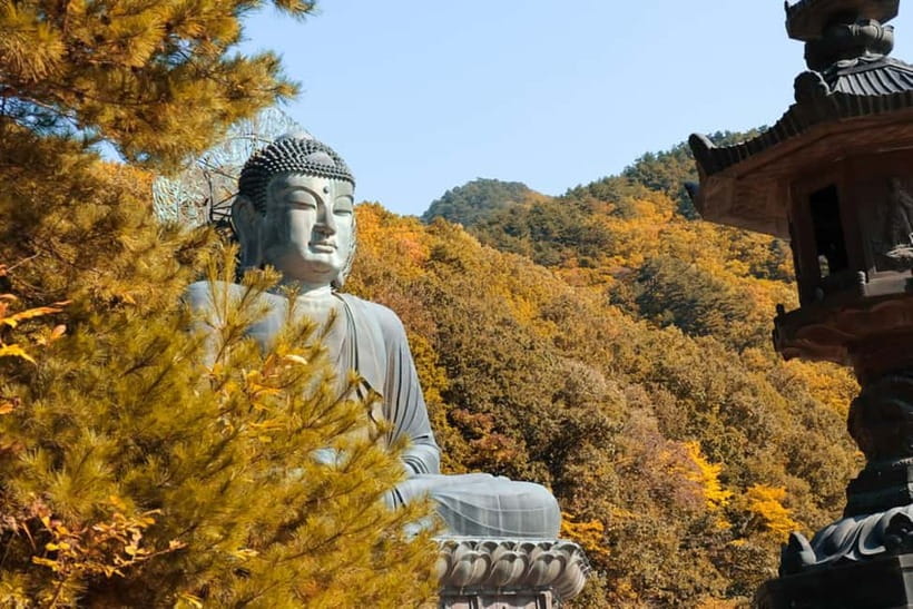 Seoul: Mt. Seoraksan National Park Autumn Foliage Day Tour - Getting there from Seoul, and the timing that makes it work
