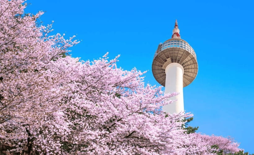 Seoul: N Seoul Tower Observatory Ticket - N Seoul Tower: why this viewpoint is a Seoul must