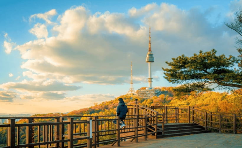 Seoul: N Seoul Tower Observatory Ticket - What is on the tower complex besides the view