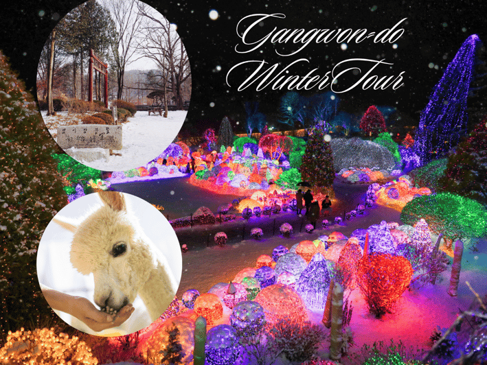 Seoul: Nami and K-Garden with Optional Alpaca Winter Tour - Getting out of Seoul: your day starts with a bus ride