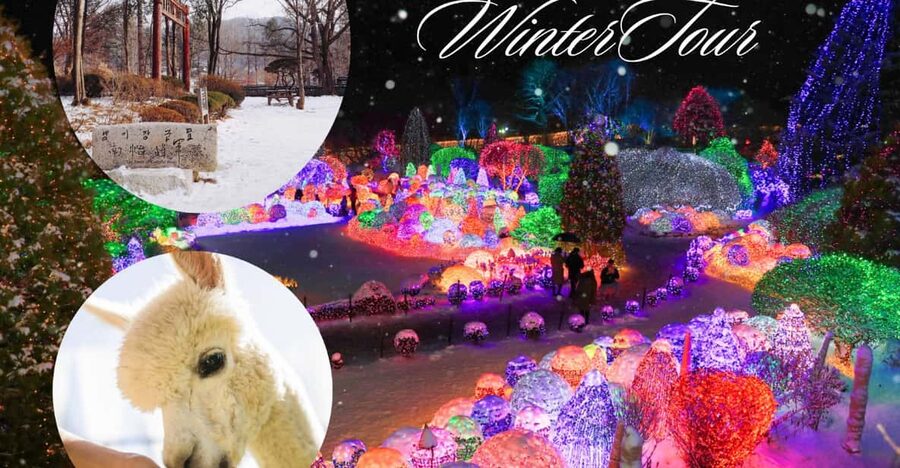 Seoul: Nami and K-Garden with Optional Alpaca Winter Tour - Eobi Valley in winter: the frozen waterfall ice wall