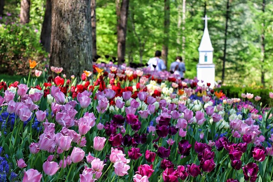 Seoul: Nami and Petite France Tour with Optional K-Garden - Italian Village: Pinocchio and Da Vinci for a creative side trip