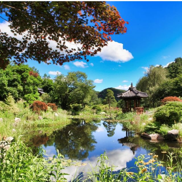 Seoul: Nami and Petite France Tour with Optional K-Garden - Lunch reality: plan for a guided stop, not a catered meal