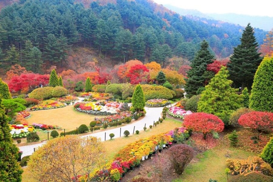 Seoul: Nami and Petite France Tour with Optional K-Garden - Getting there and getting back: transport, timing, and the Hongik University drop-off
