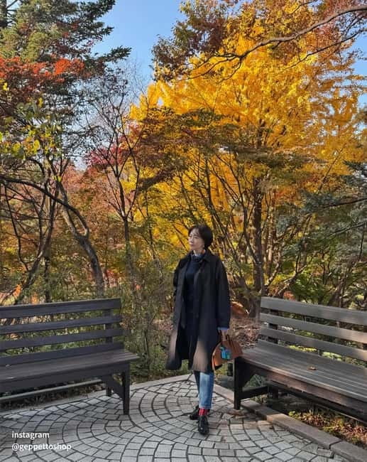 Seoul: Nami Island, Alpaca World, Morning Calm Garden - The Role of the Guide, Why It Matters Here