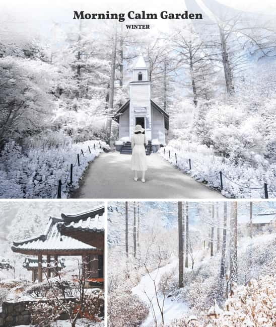 Seoul: Nami Island & Alpaca World & Railbike (+Healing Park) - Optional upgrade: The Stay Healing Park Starlight Garden at night