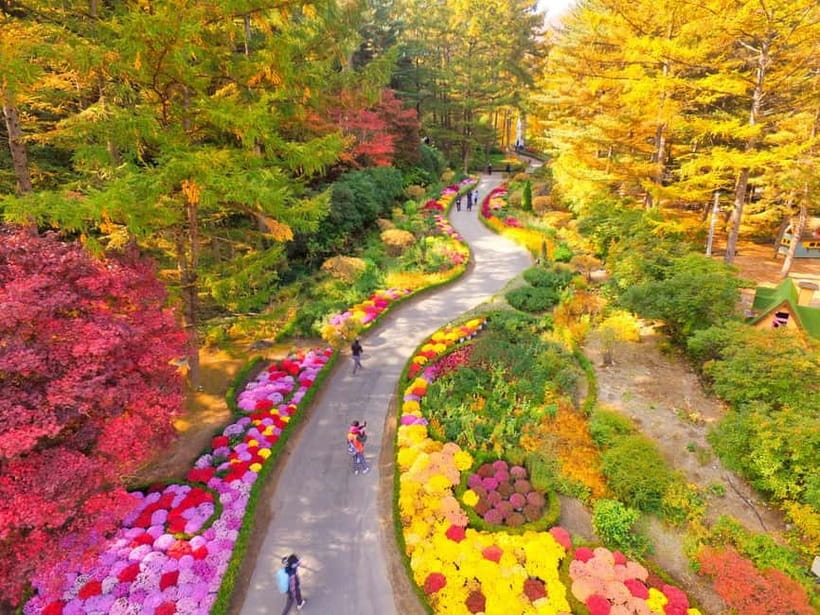 Seoul: Nami Island and Garden of Morning Calm opt Railbike - Season and weather: when to book for the look you want