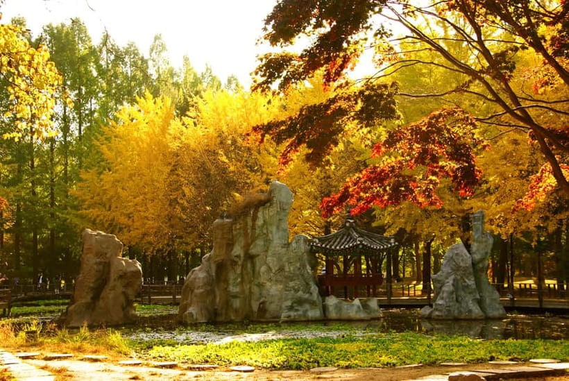 Seoul: Nami Island and Garden of Morning Calm (+Railbike) - Price and value: what about $51 gets you, and what it does not
