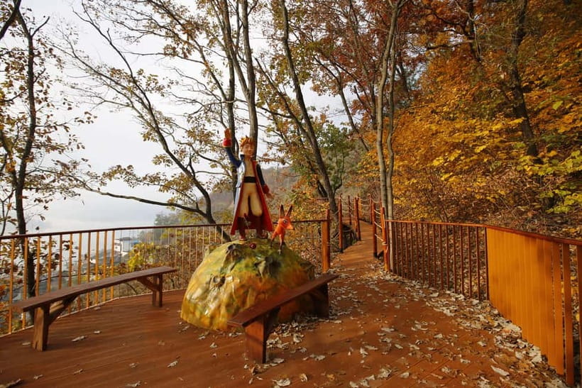 Seoul: Nami Island, Garden and Petite France (opt. Railbike) - Who should book this Nami Island, Morning Calm, Petite France day trip