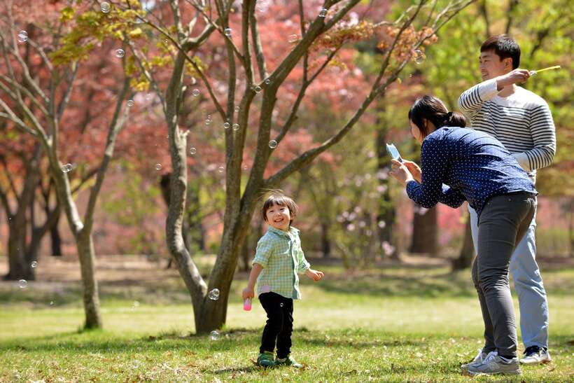 Seoul: Nami Island & Petite France Tour with Railbike Option - Key takeaways before you go