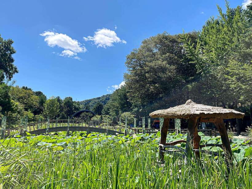 Seoul: Nami Island & Petite France Tour with Railbike Option - How the Seoul to Gapyeong Day Actually Works