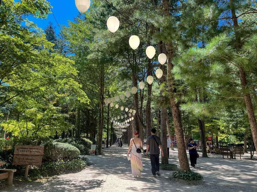 Seoul: Nami Island & Petite France Tour with Railbike Option - Petite France and the Pinocchio and Da Vinci area in Gapyeong