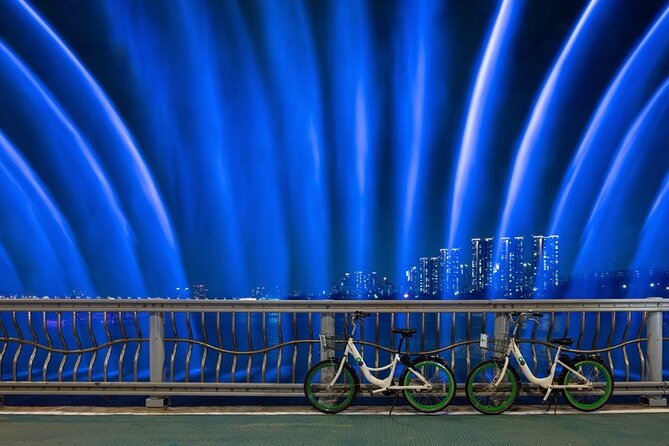 Seoul Night Tour with Han River Cruise and Gyeongbokgung Palace - What to Do to Make This Tour Feel Effortless