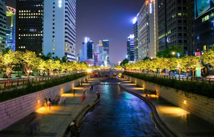Seoul: Nighttime Tour of Palace, Market, Naksan Park & More - Key highlights you should care about