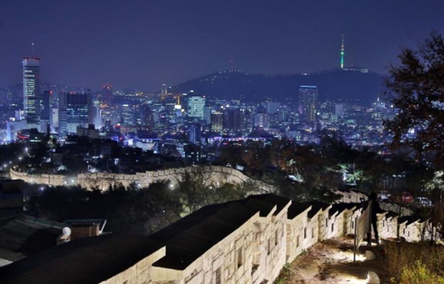 Seoul: Nighttime Tour of Palace, Market, Naksan Park & More - Price and value for a night tour in Seoul